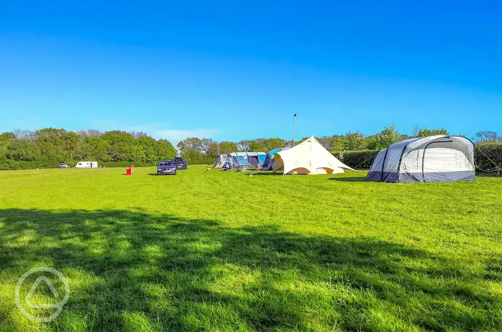 Grass pitches