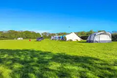Grass pitches at Beaulieu Farm Campsite