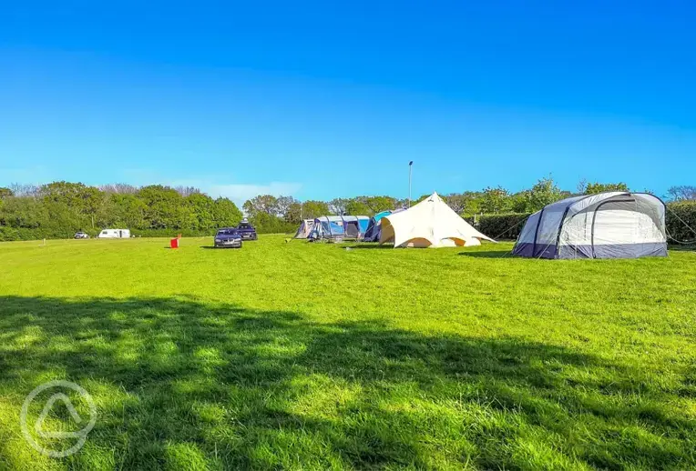 Grass pitches