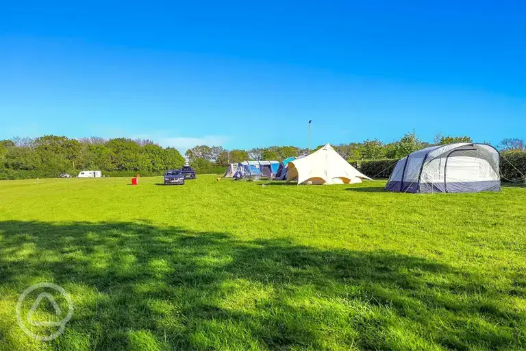 Grass pitches