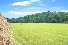 Non electric grass pitches