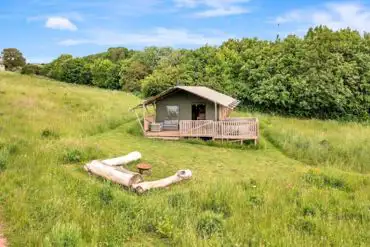 Safari tent