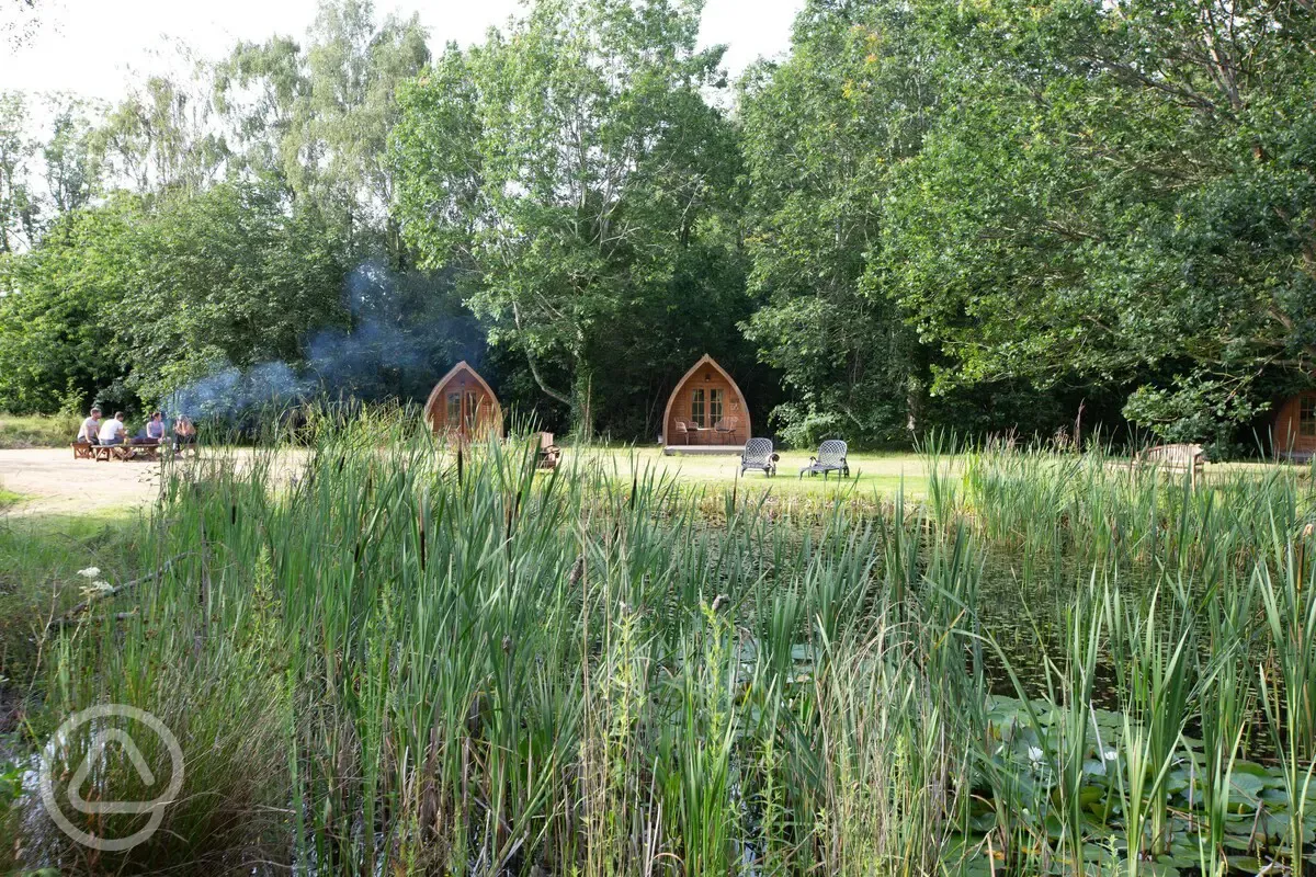 Pods by the pond