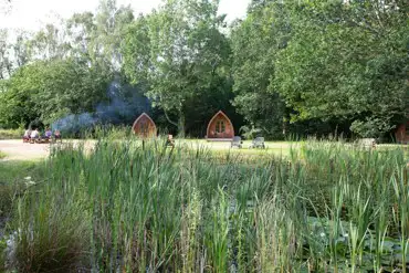 Pods by the pond