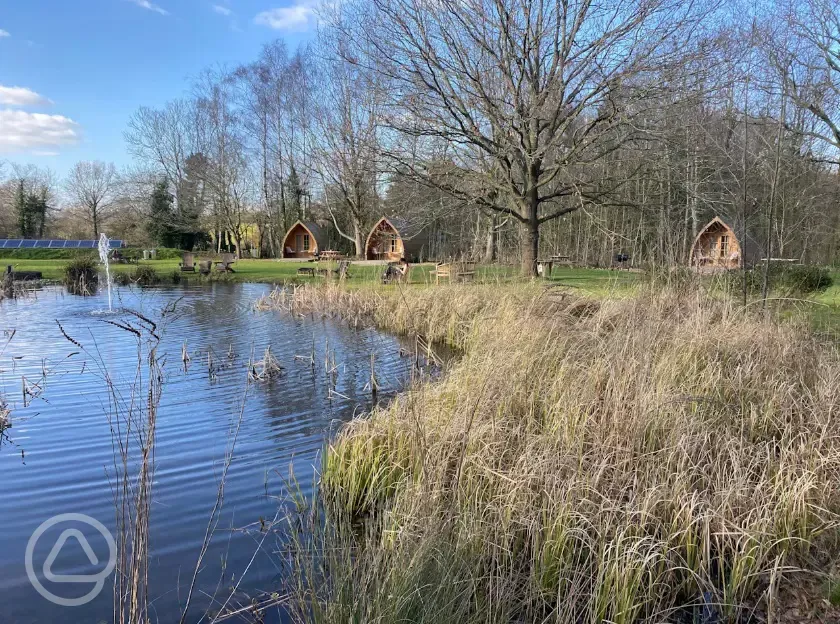 Seating by the wildlife pond