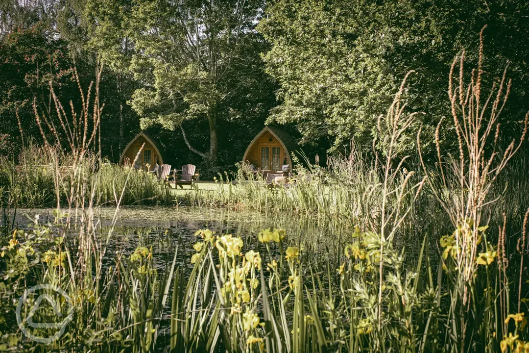 Pods by the pond