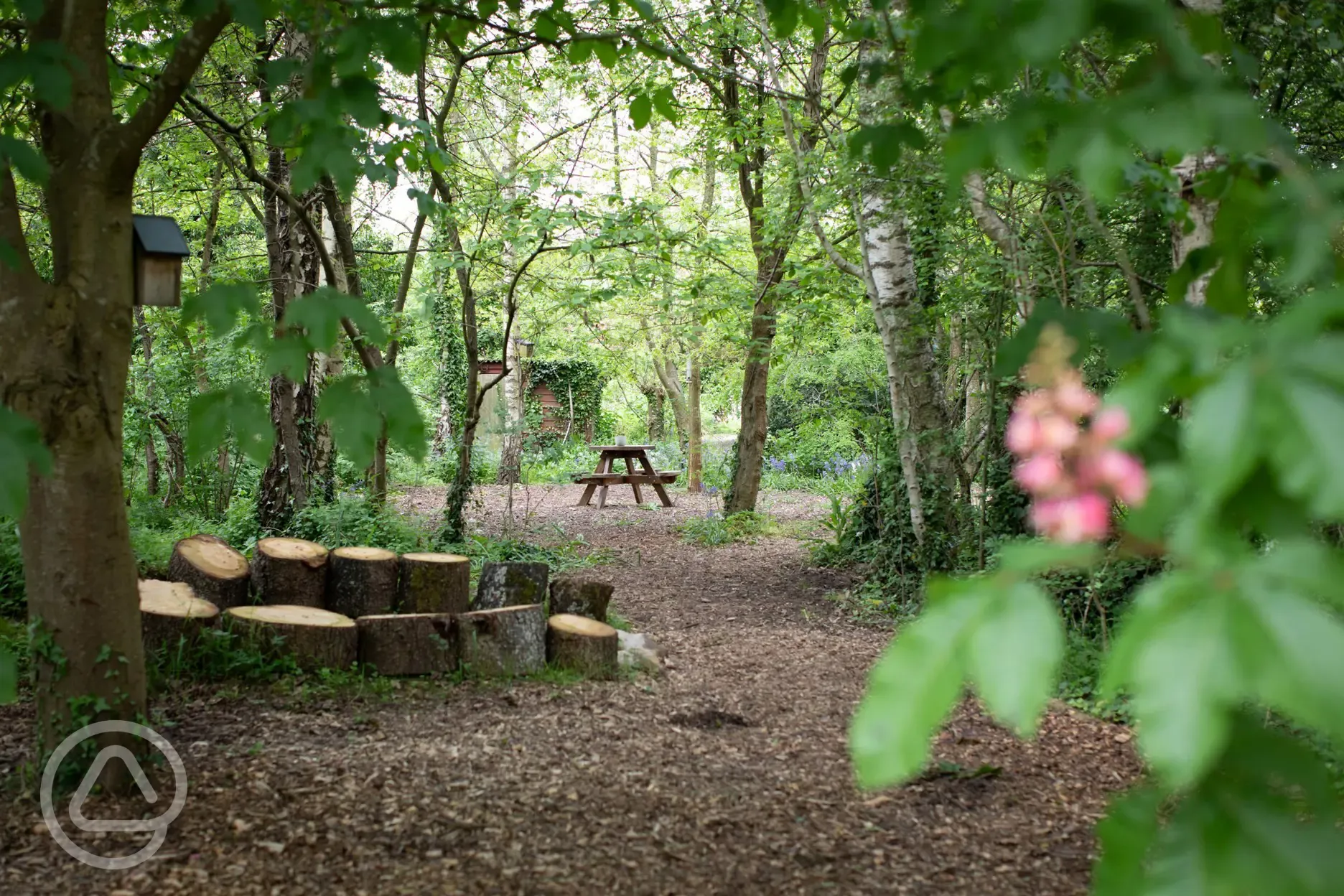 Walk from the meadow through to the kitchenette