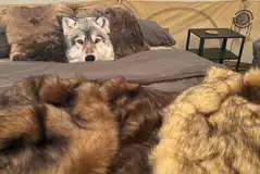 Wolf bell tent double bed