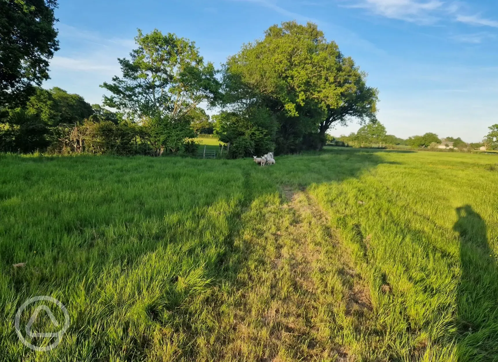 Grass pitches