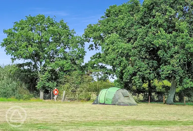 Non electric grass tent pitches at Westover Smarden