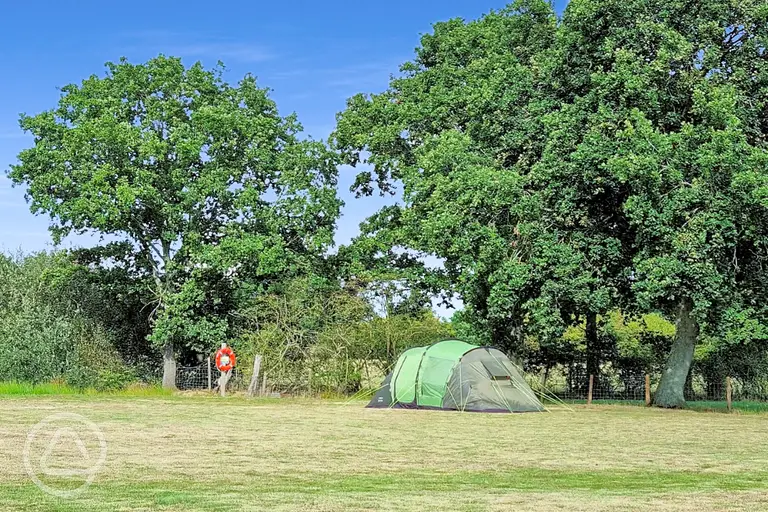 Non electric grass tent pitches at Westover Smarden