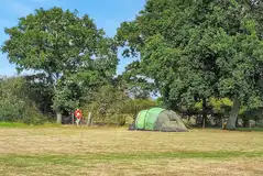Non electric grass tent pitches at Westover Smarden