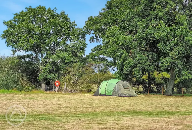 Non electric grass tent pitches at Westover Smarden