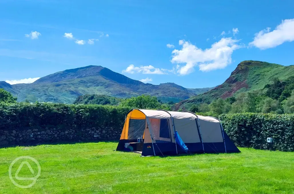 Electric grass tent and campervan pitches