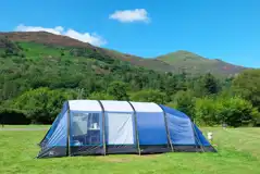 Electric grass tent and campervan pitches