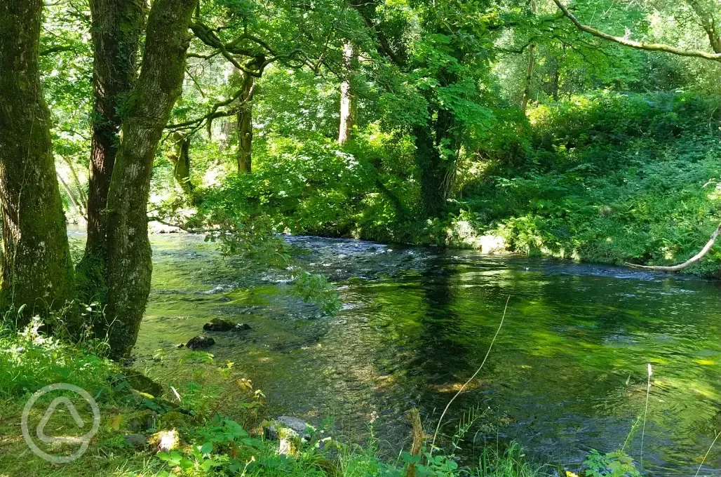 River running through the site