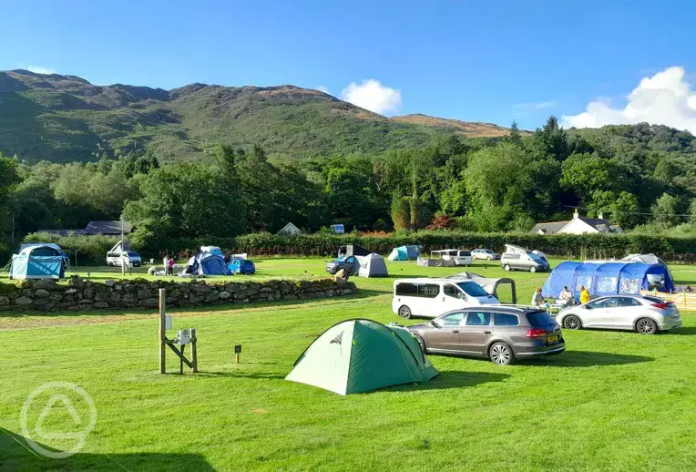Electric grass tent and campervan pitches with 10 amp hook ups