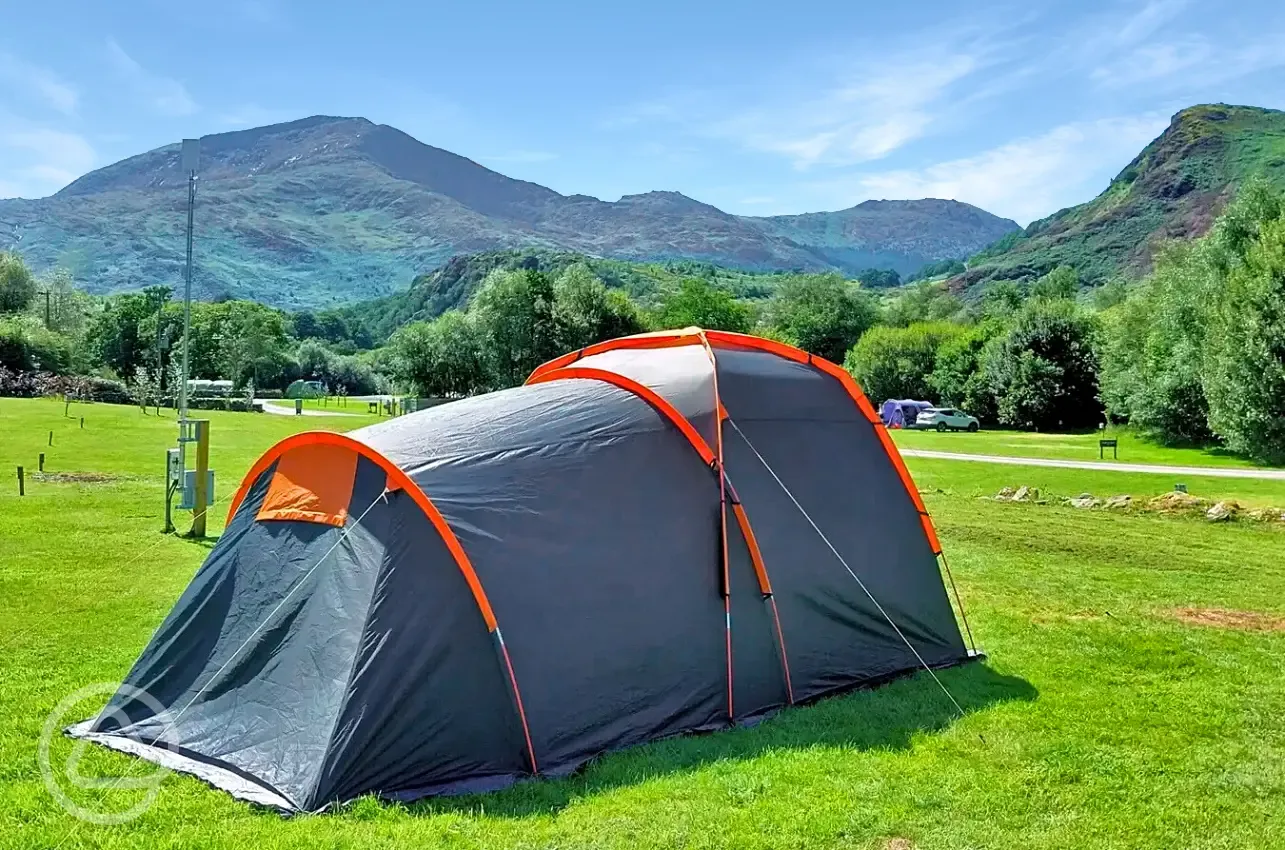 Electric grass tent and campervan pitches