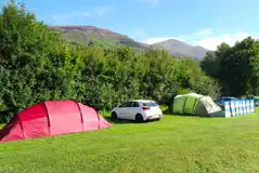Non electric grass pitches backed by trees