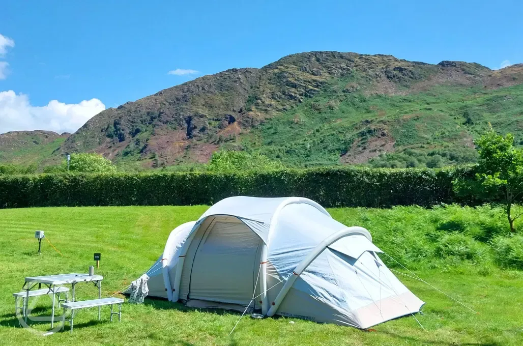 Electric grass tent and campervan pitches