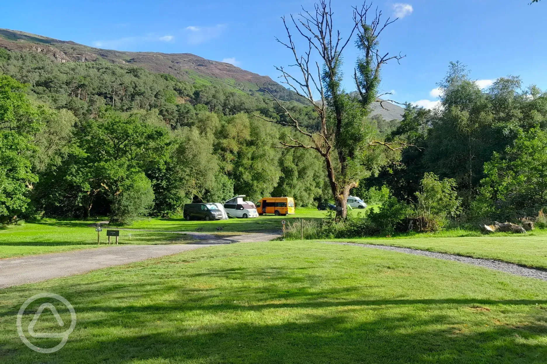 Electric grass tent and campervan pitches