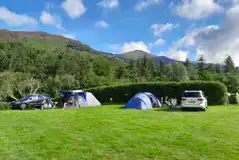 Electric grass tent and campervan pitches