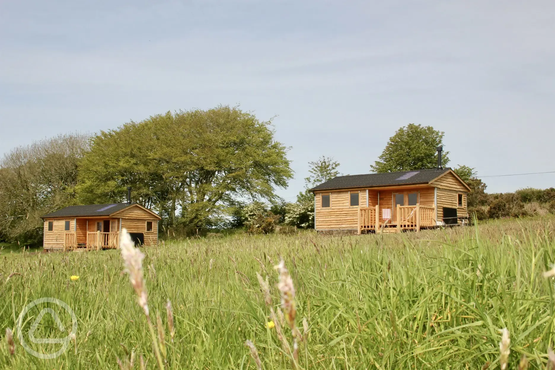 Eco cabins in the meadow