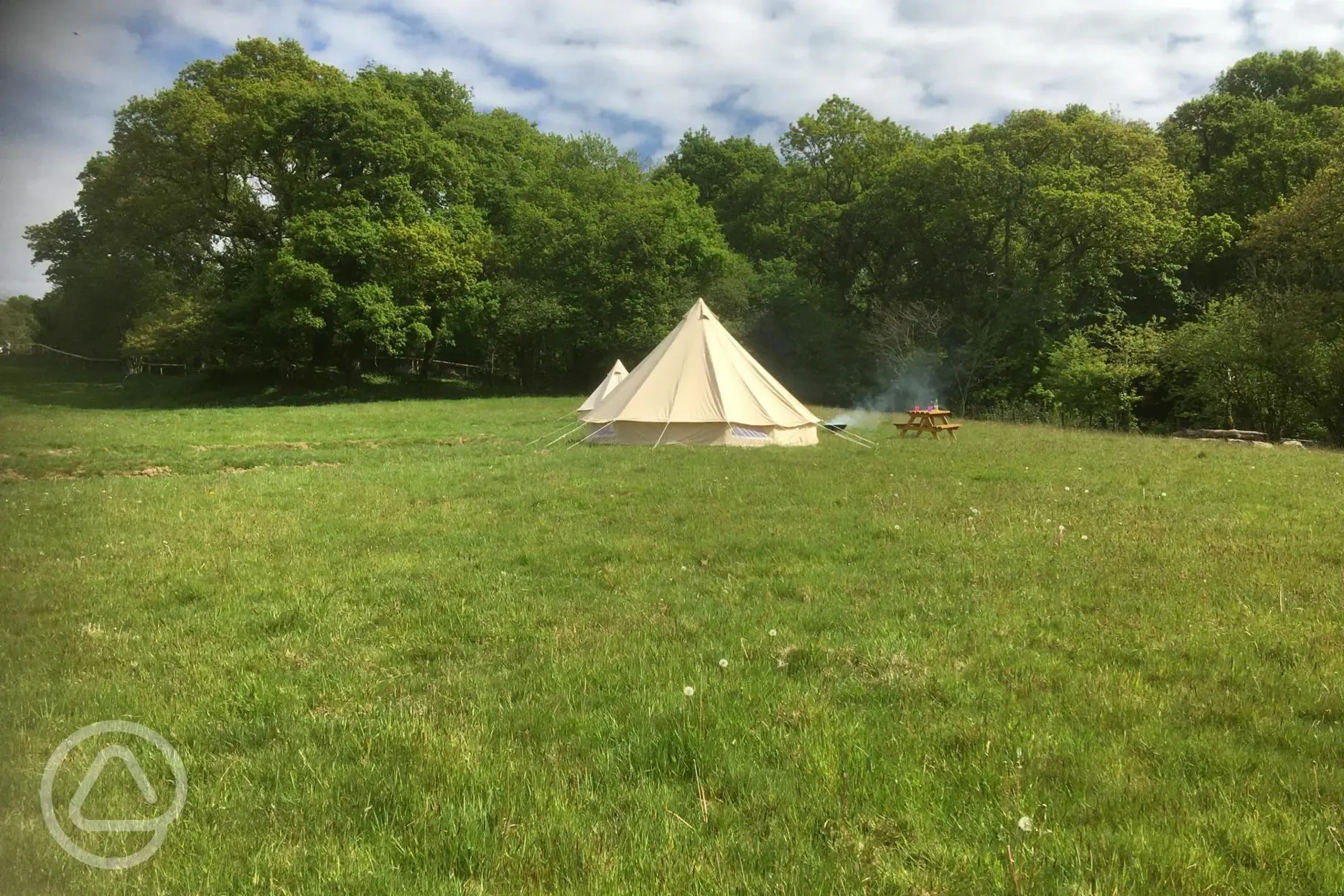 Grass meadow pitches