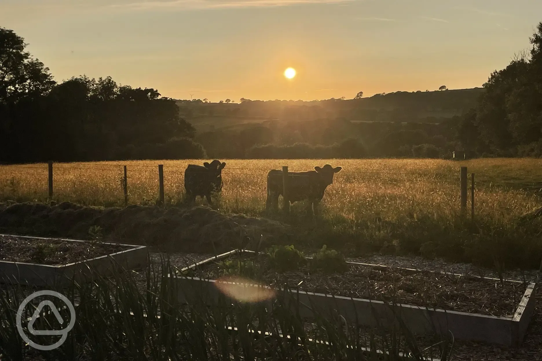 Farmland