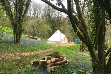 Forest floor pitches with a bell tent pitched