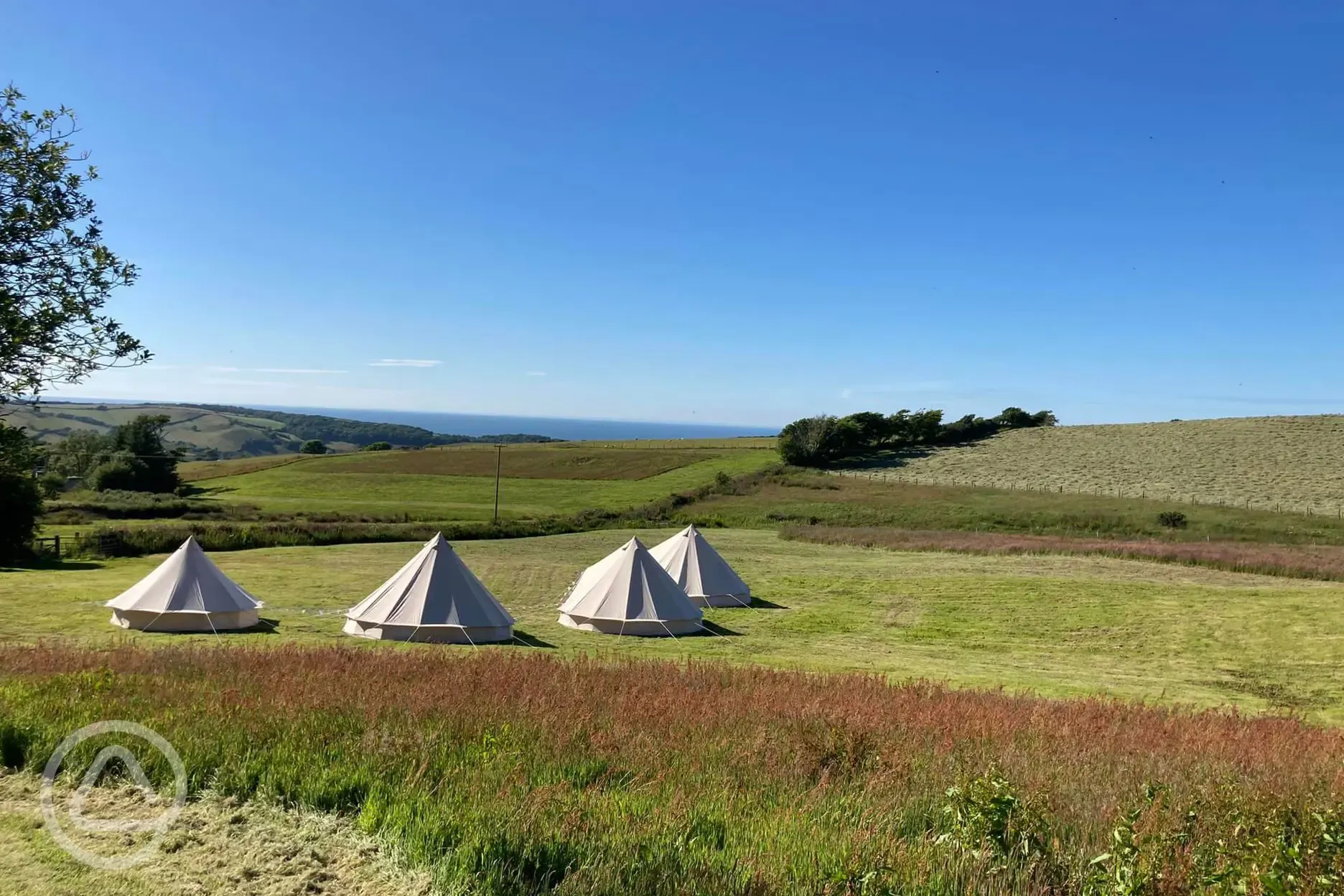 Bell tents with a view of Combe Martin Bay