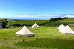 Giddy Farm, Ilfracombe, Devon