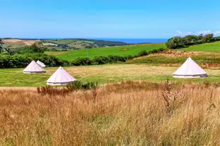 Giddy Farm, Ilfracombe, Devon (9 miles)