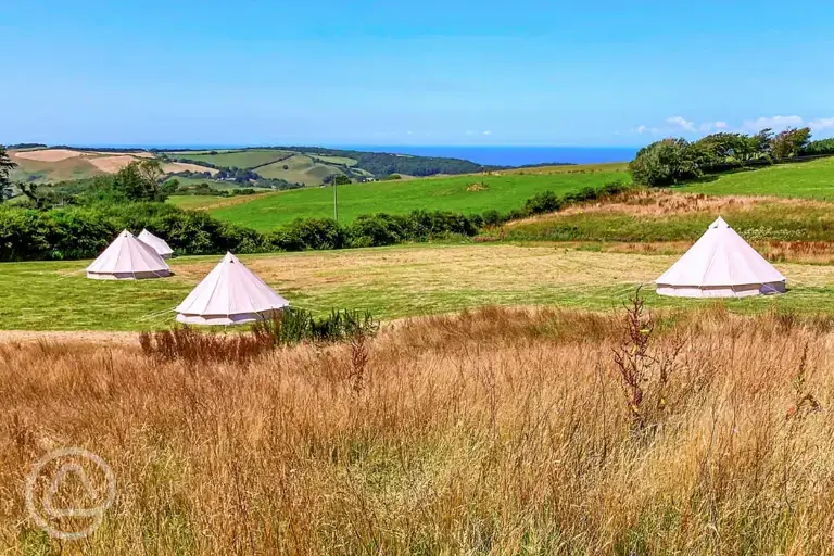 Bell tents at Giddy Farm with Combe Martin Bay sea views