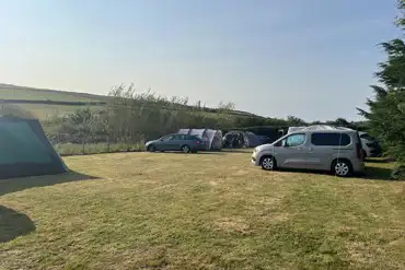 Grass pitches