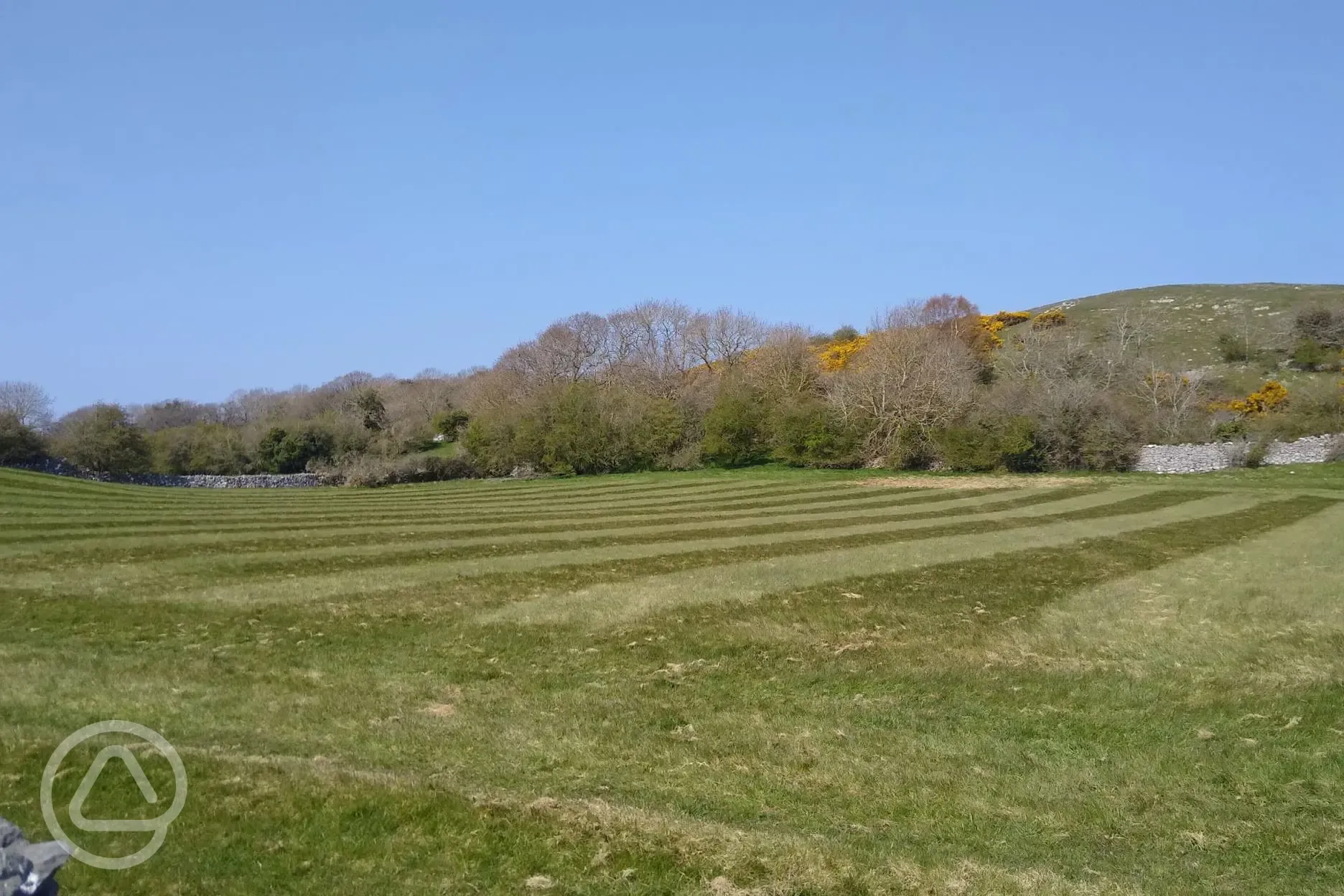Non electric grass tent pitches