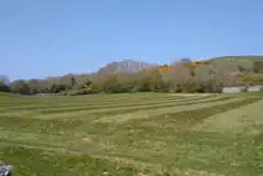 Non electric grass tent pitches