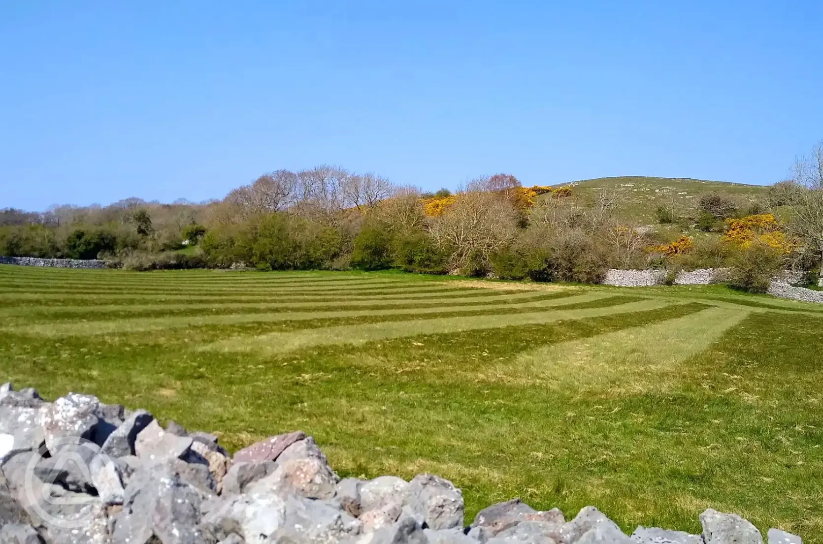 Non electric grass tent pitches