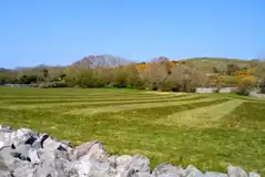 Non electric grass tent pitches