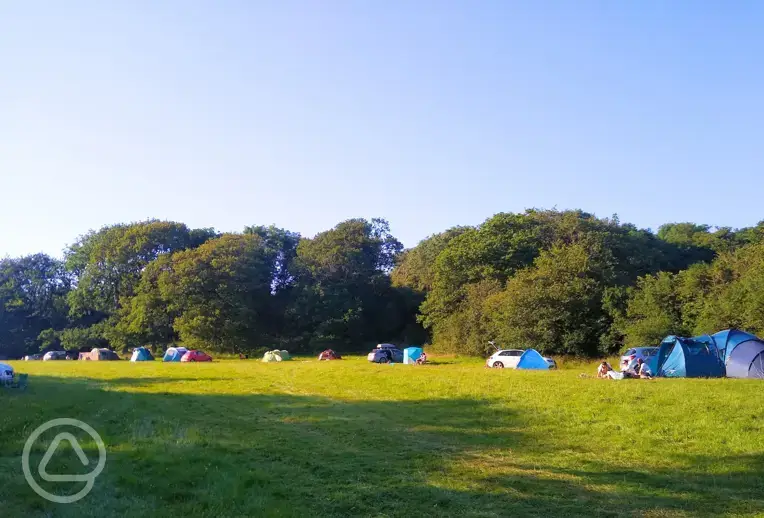 Non electric grass tent pitches