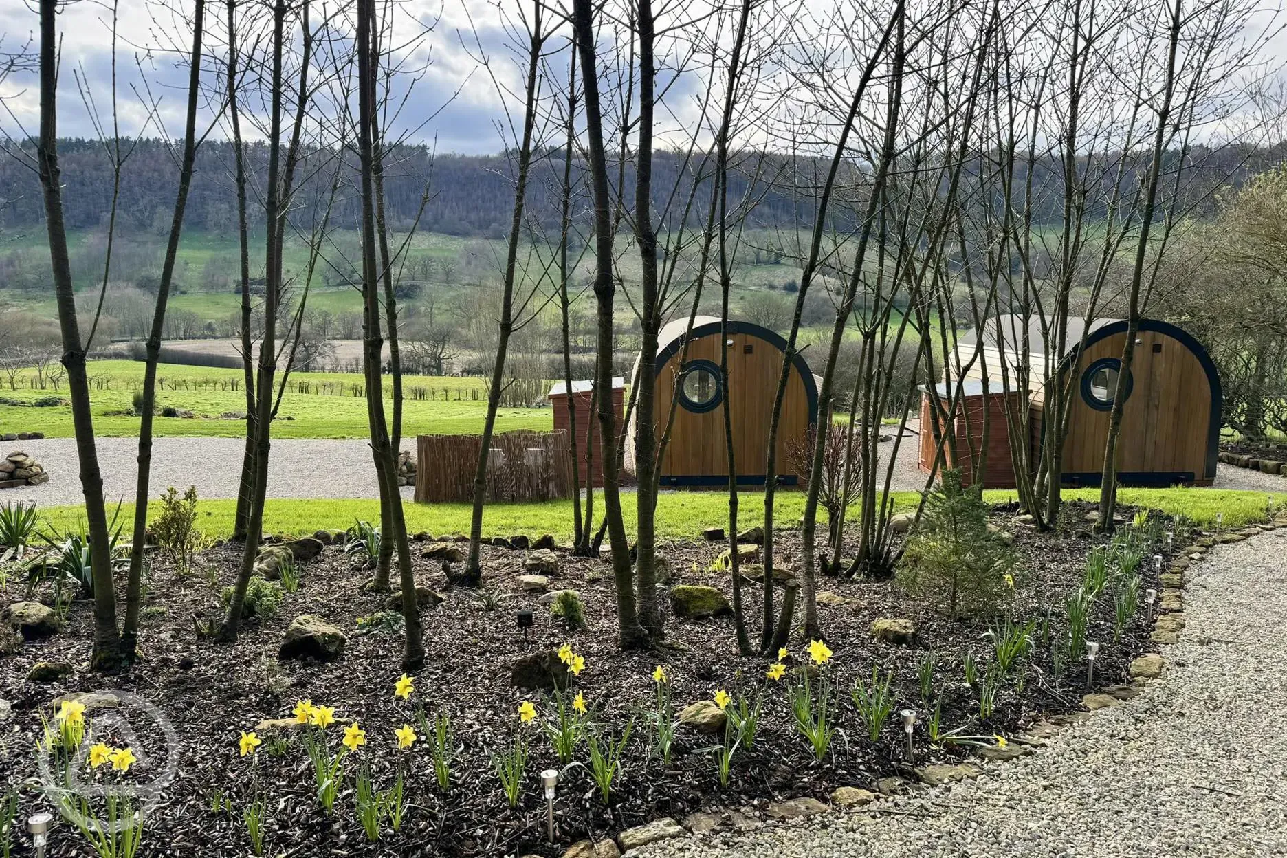 Paths and flower beds throughout the site