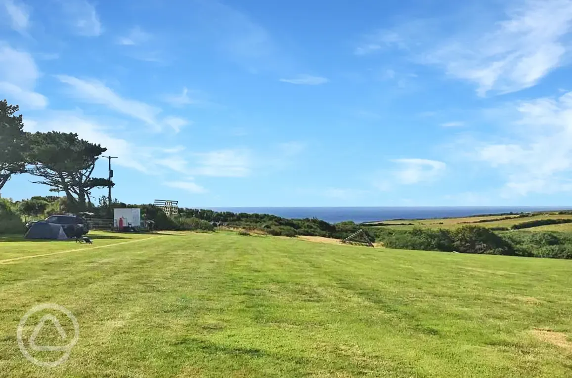 Grass pitches with sea views