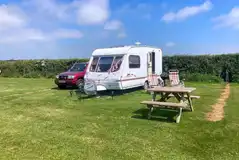 Electric grass pitches (10 m x 10m)