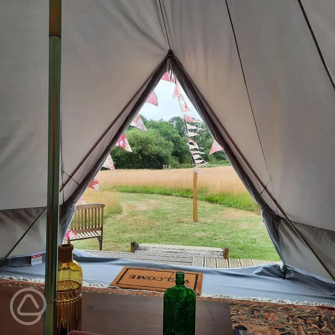 View from inside the bell tent