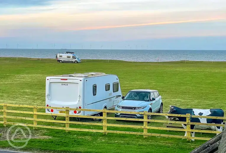 Grass pitches at sunset