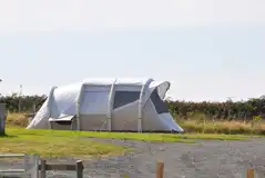 Tent on a grass pitch with optional electric Tent on a grass pitch with optional electric