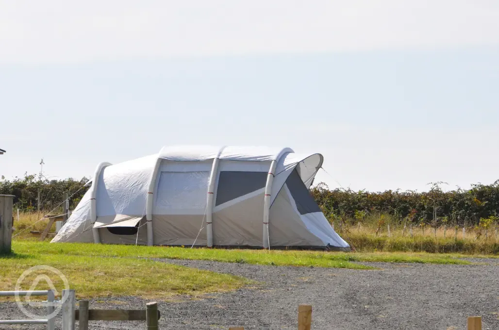 Grass tent pitches
