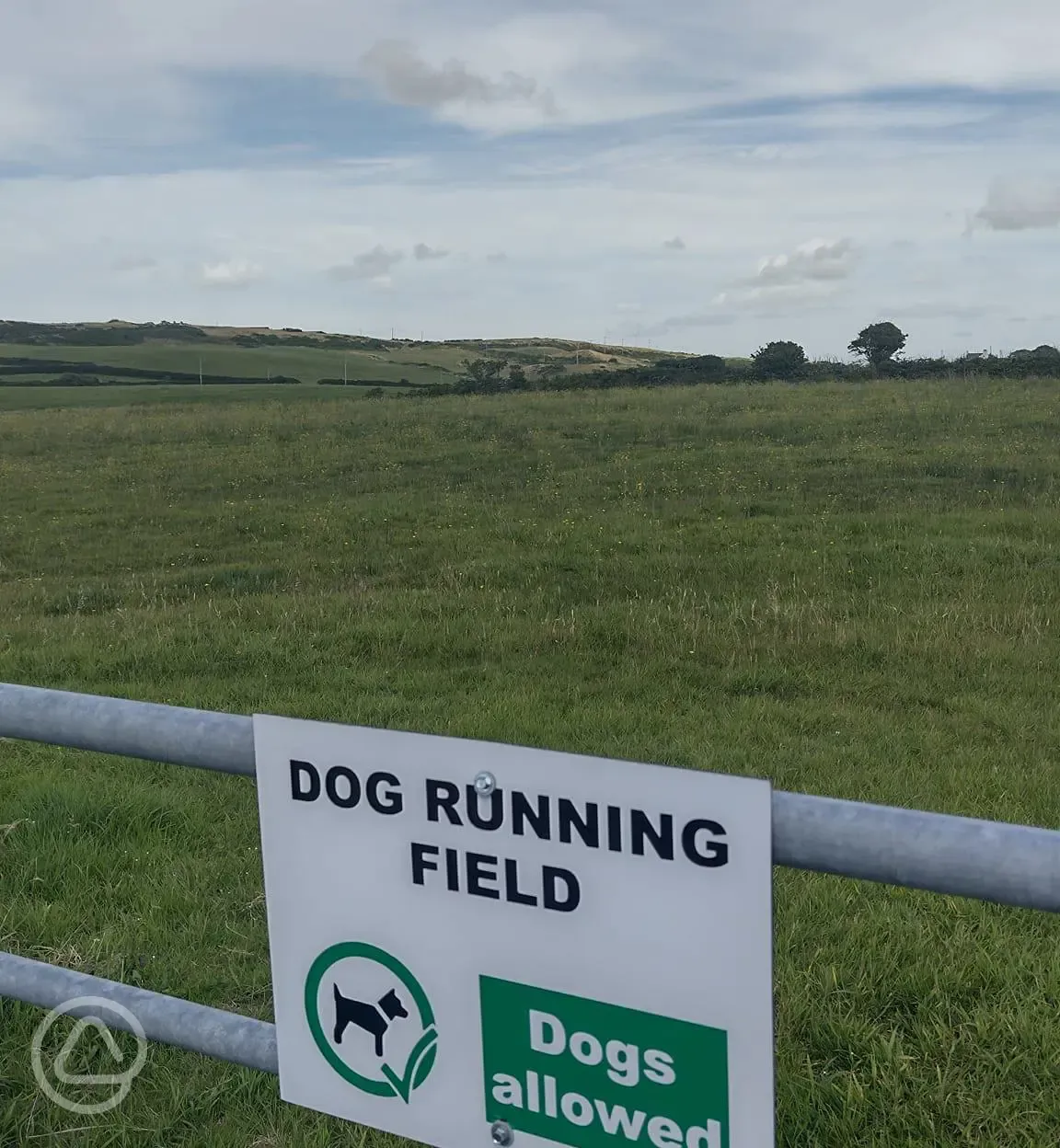 Dog walking field