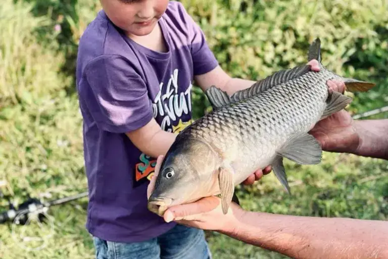 Fishing onsite