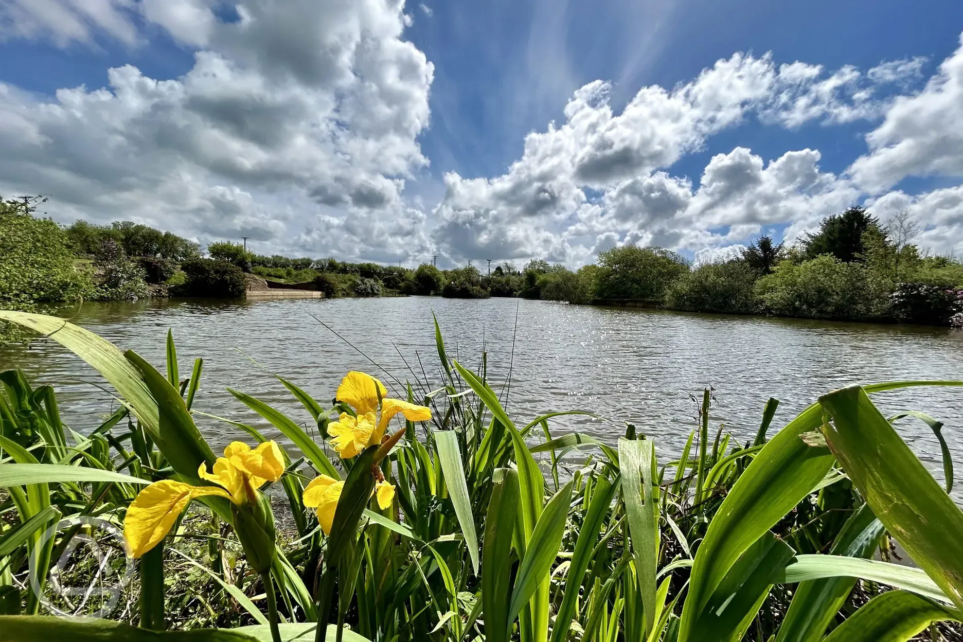 Views over the lake